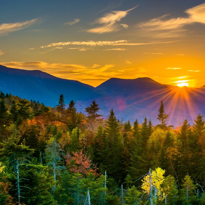 Depositphotos_58458613_S Depositphotos_58458613_S